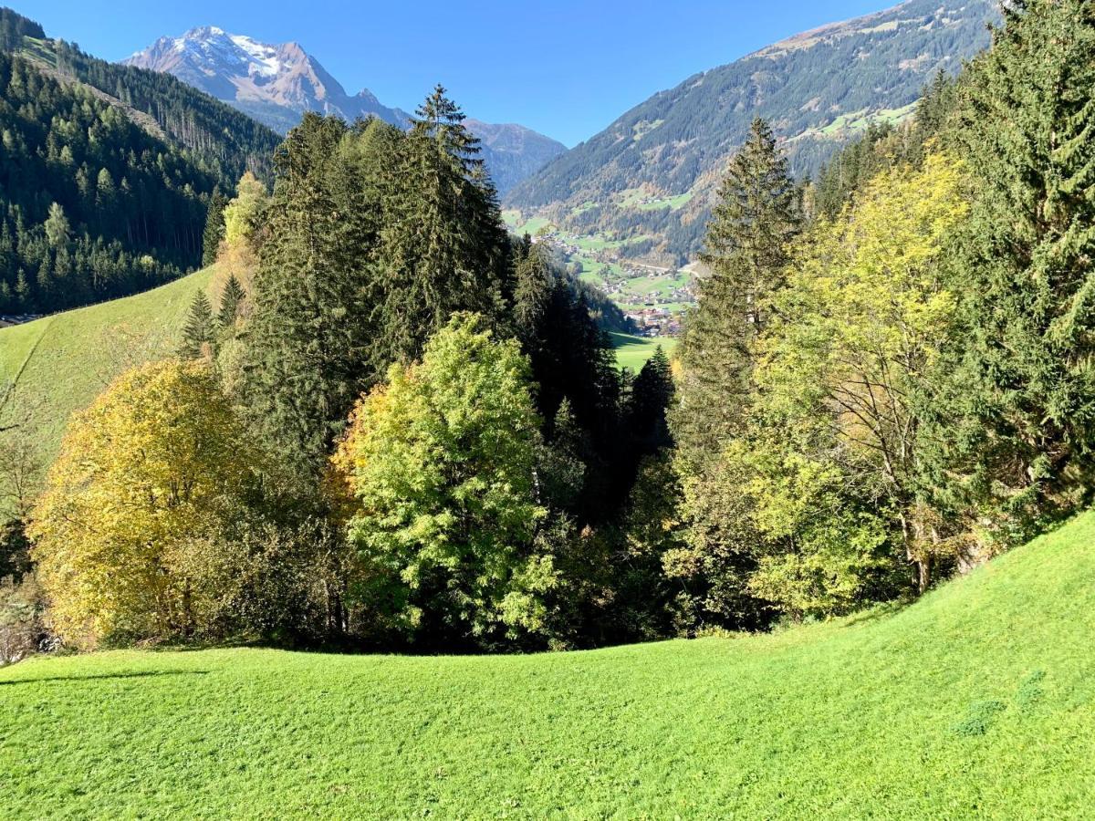 Natur Zeit - Alpine Garden Apartments Mayrhofen Exterior photo