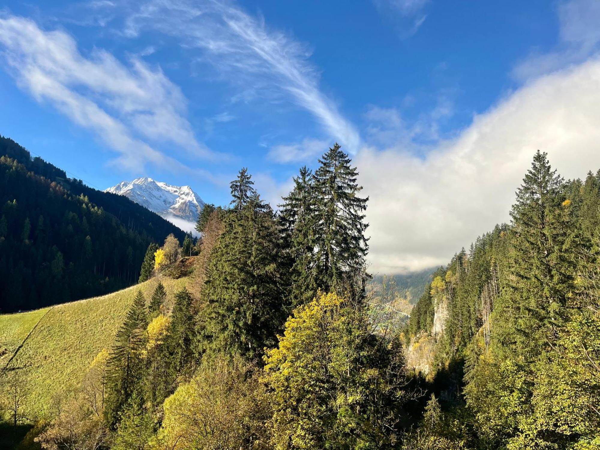 Natur Zeit - Alpine Garden Apartments Mayrhofen Exterior photo